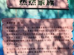 -野象谷景区