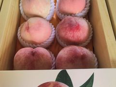 -南汇水蜜桃采摘(大团店)