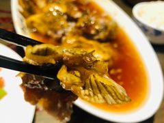 糖醋黄河鲤鱼-会仙楼饭庄(宽厚里店)