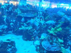 -成都浩海立方海洋公园