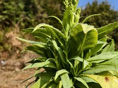 -韶关经律论国际酒店温泉