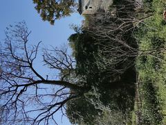-塔川景区