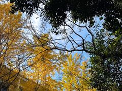 -郑和公园