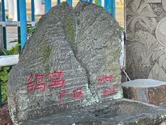 -万绿园