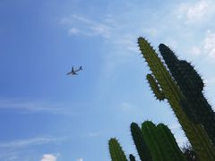 -南通洲际绿博园