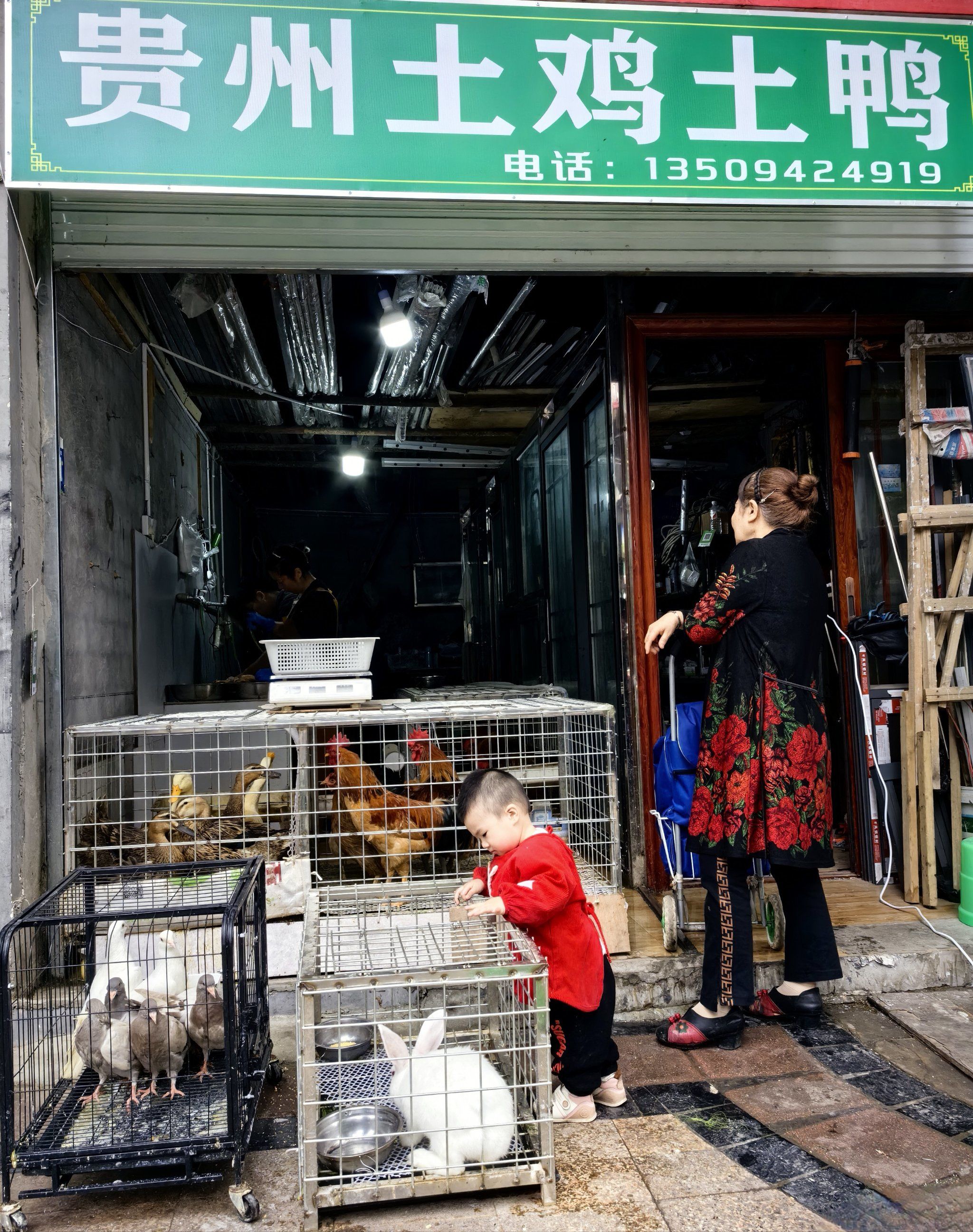 贵州土鸡土鸭(鲁能星城店)