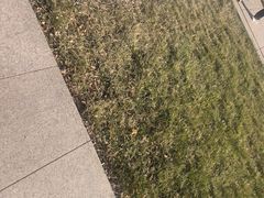 -中国人民抗日战争纪念雕塑园