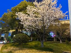 -堤角公园