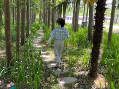 -上海长兴岛郊野公园