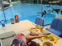 -帝企鹅自助餐厅•儿童岛•真企鹅(长隆企鹅酒店)