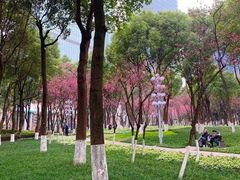 -重庆市江北嘴中央商务区中央公园