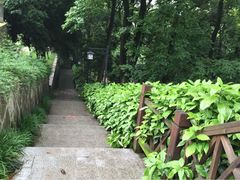 林泉山庄-杭州林泉山庄