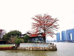 -喜洲吧·江畔老船厂·庭院餐厅(喜临院店)
