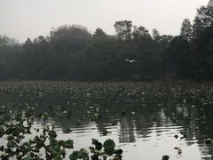 -东湖落雁景区