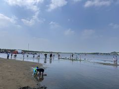 -呼兰河口湿地公园