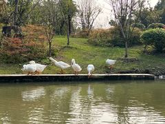 -狼山风景名胜区
