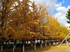 -辽东学院(南校区)