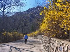 -阳台山自然风景区