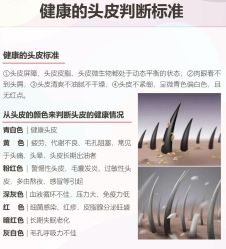 -Bollins波林丝•专研护发中心