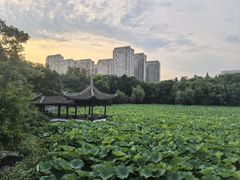 -高子水居