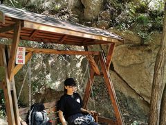 -大岭沟猕猴桃谷风景区