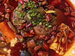 -湖鱼湖·蓉亭食贝(亚运村店)