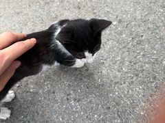 -瑞幸咖啡(上海财经大学地铁站1号口店)