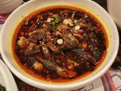 -铁公鸡·四川料理(天环广场店)