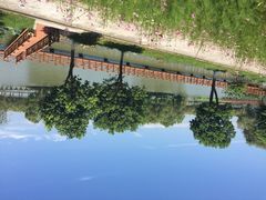 洪湖蓝田-洪湖生态旅游区