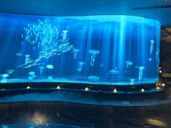 -唐宫足道·SPA·住宿24H会所(木渎店)