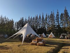 -前小桔亲子创意农场·草莓采摘·露营烧烤