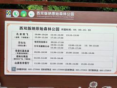 -西双版纳原始森林公园