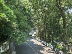 -南山植物园