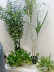 -VE小颜皮肤管理&科学美肤中心