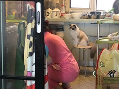 -Goku PET SHOP宠物视觉生活馆(双井店)