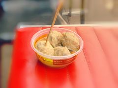 原味盲公丸-无影脚佛山陈氏盲公丸始创店(飞鸿街店)