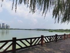 -湖南东洞庭湖国家级自然保护区