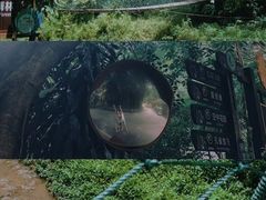 -西双版纳原始森林公园