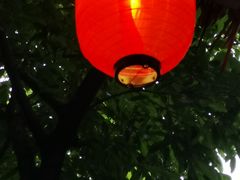 -香叶草中餐厅(川白楼店)