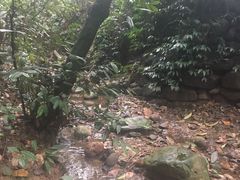 -樱桃山旅游景区