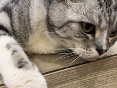 -荔康动物医院(康王北路店)