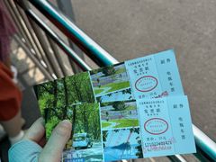 -棒棰岛宾馆景区