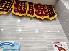-瑞派名望志远动物医院·猫科·內科·异宠专科(直港大道店)