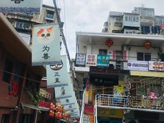 -猫咪博物馆(顶澳仔猫街店)