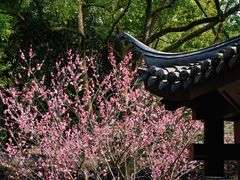 -慧因高丽寺
