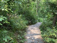 -青龙山国家森林公园