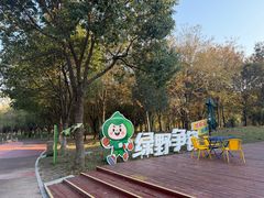 -上海浦江郊野公园-5号停车场