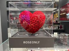 -ROSEONLY诺誓(国际广场购物中心店)