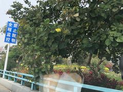 -厦门日月谷温泉渡假村