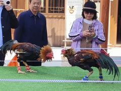 -深圳锦绣中华民俗村